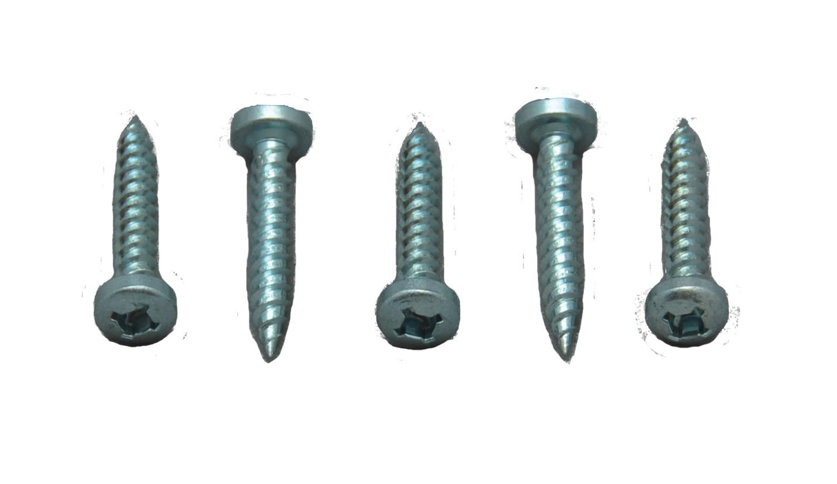 500PK 1' RECESS SCREWS