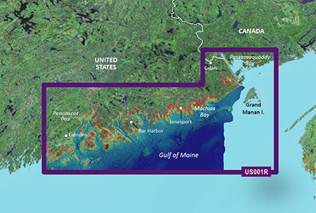 Garmin Vus001r G3 Vision North Maine